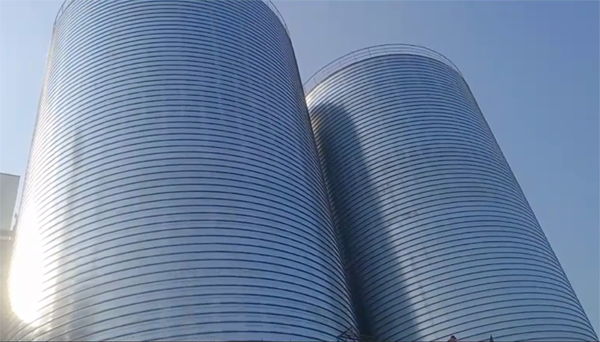 睢县2座混凝土高架卷板仓